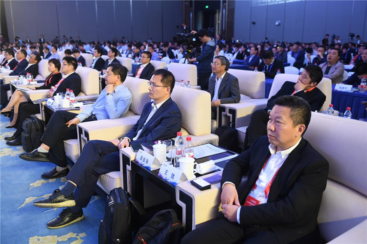 美林數據總裁王璐