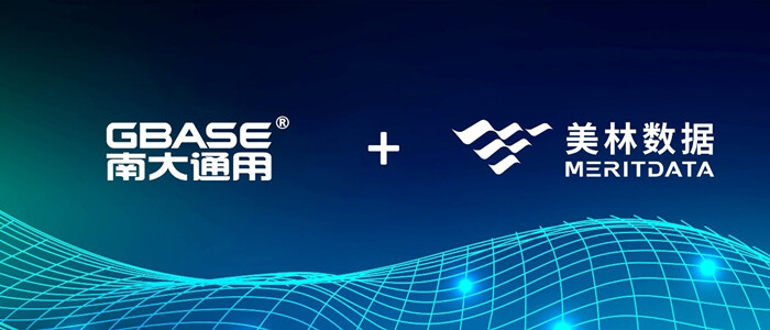 美林數據與南大通用