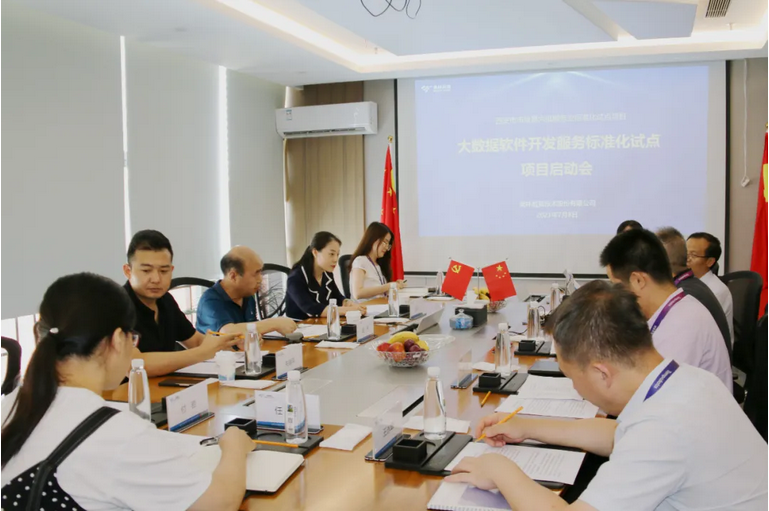 以大數據軟件開發服務標準化助推數字產業持續創新