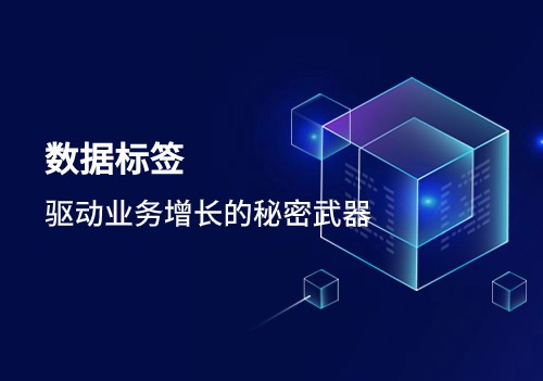 數據標簽：驅動業務增長的秘密武器